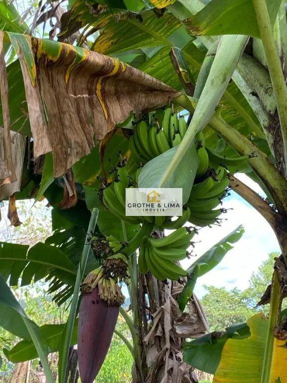 Chácara à venda de 3.300 m² em São José dos Campos, SP, Brasil