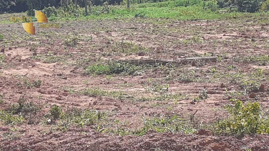 Fazenda à venda de 434 ha em Nossa Senhora do Livramento, MT, Brasil