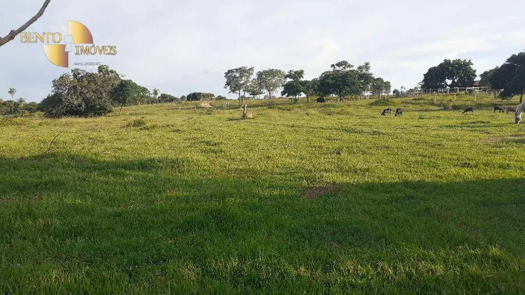 Fazenda à venda de 434 ha em Nossa Senhora do Livramento, MT, Brasil