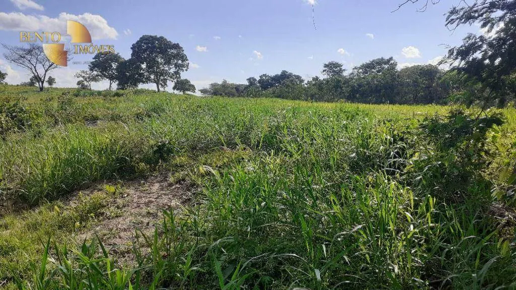 Fazenda à venda de 434 ha em Nossa Senhora do Livramento, MT, Brasil