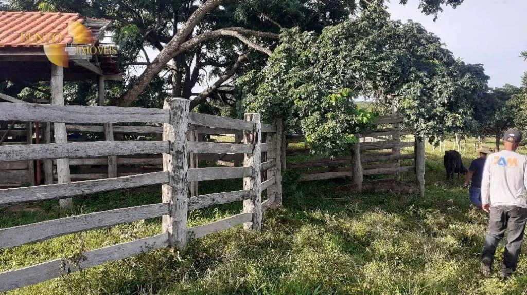 Fazenda à venda de 434 ha em Nossa Senhora do Livramento, MT, Brasil