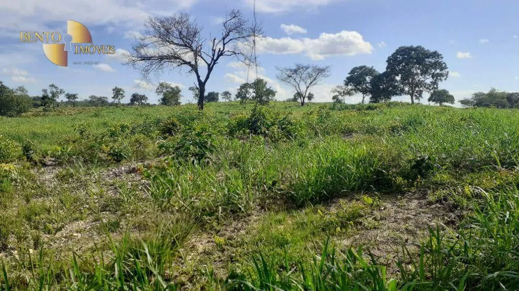 Fazenda à venda de 434 ha em Nossa Senhora do Livramento, MT, Brasil