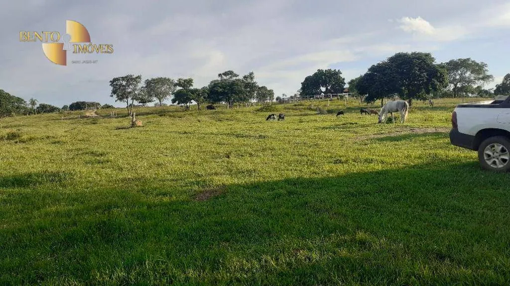 Fazenda à venda de 434 ha em Nossa Senhora do Livramento, MT, Brasil