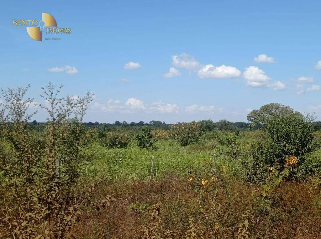 Fazenda à venda de 434 ha em Nossa Senhora do Livramento, MT, Brasil