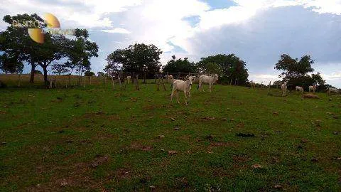 Fazenda à venda de 434 ha em Nossa Senhora do Livramento, MT, Brasil