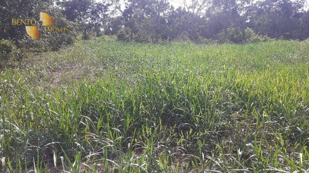 Fazenda à venda de 434 ha em Nossa Senhora do Livramento, MT, Brasil