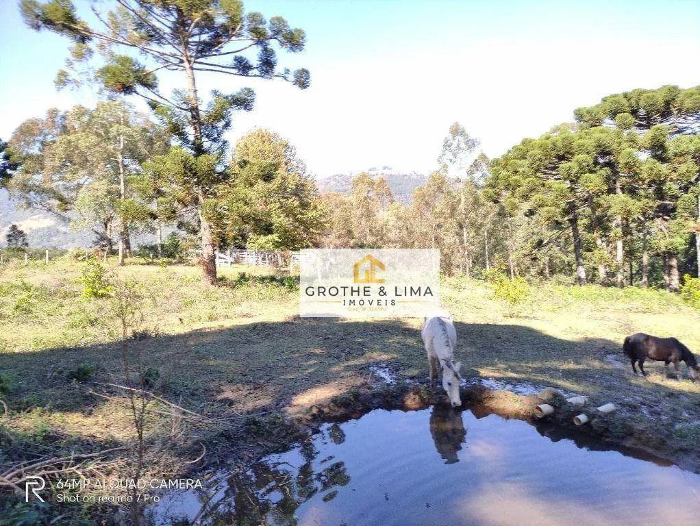 Farm for sale of 57 acres in São Bento do Sapucaí, SP, Brazil