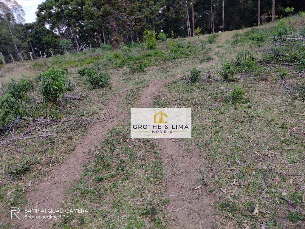 Farm for sale of 57 acres in São Bento do Sapucaí, SP, Brazil
