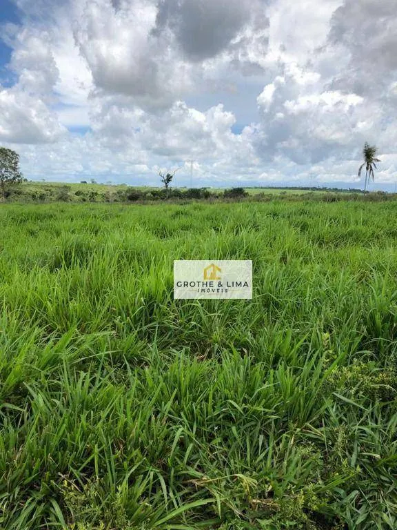 Farm for sale of 6,494 acres in Wanderlândia, TO, Brazil