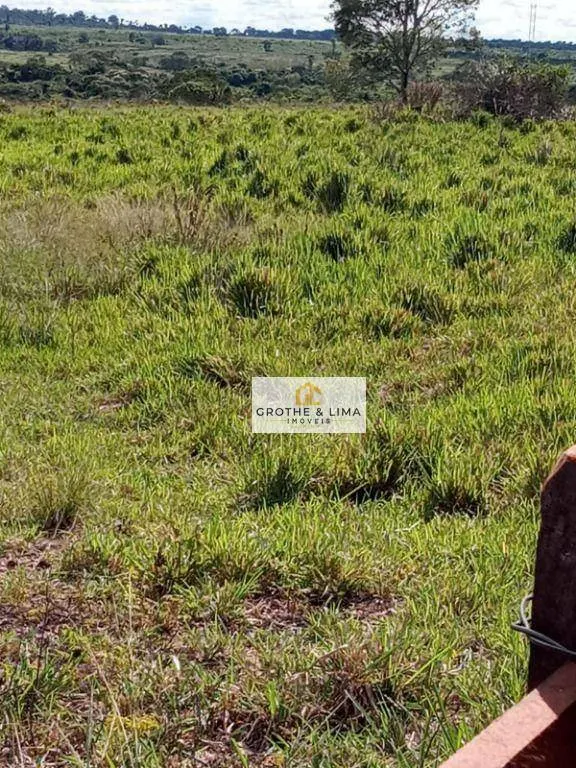 Farm for sale of 6,494 acres in Wanderlândia, TO, Brazil