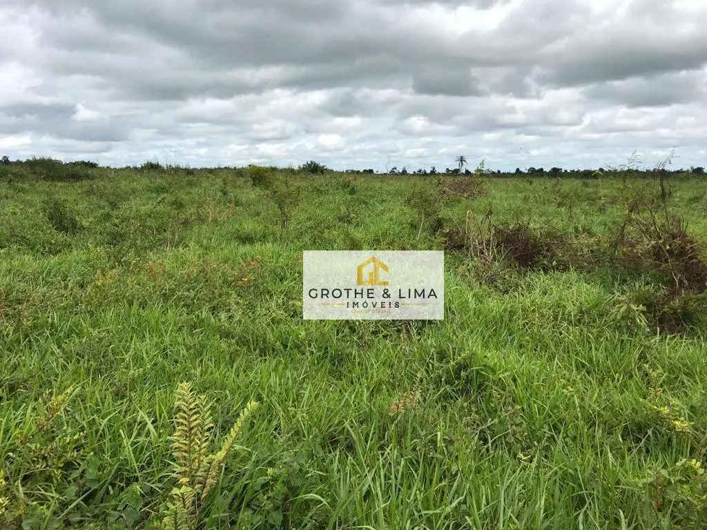 Farm for sale of 6,494 acres in Wanderlândia, TO, Brazil