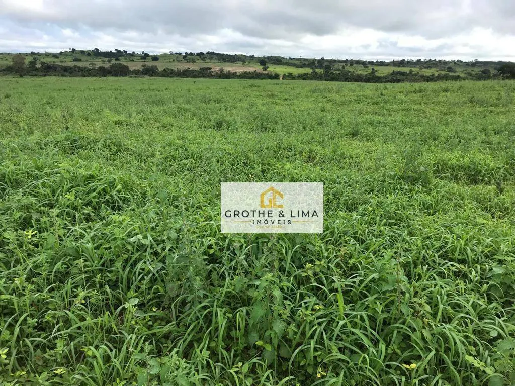 Farm for sale of 6,494 acres in Wanderlândia, TO, Brazil
