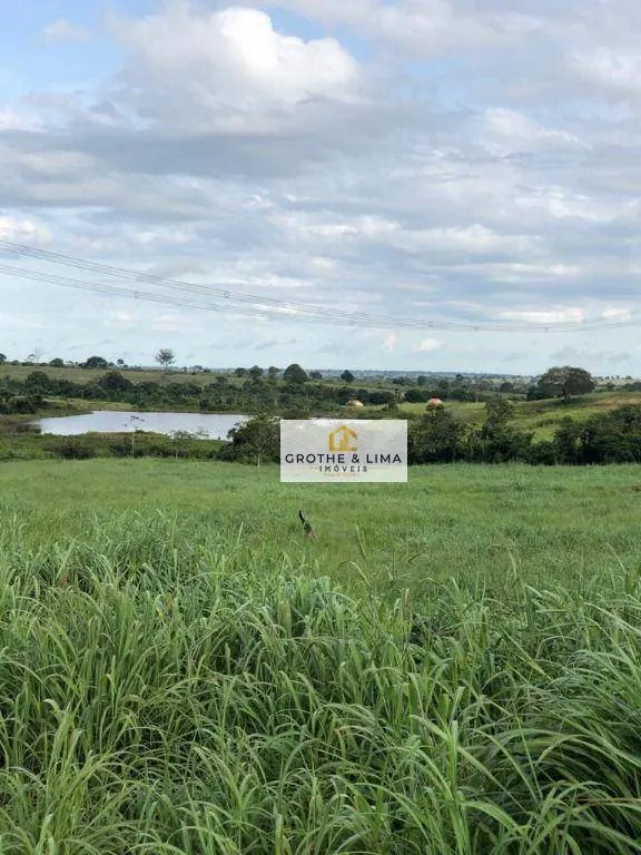 Farm for sale of 6,494 acres in Wanderlândia, TO, Brazil