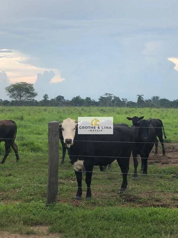 Farm for sale of 6,494 acres in Wanderlândia, TO, Brazil
