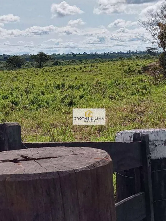 Farm for sale of 6,494 acres in Wanderlândia, TO, Brazil