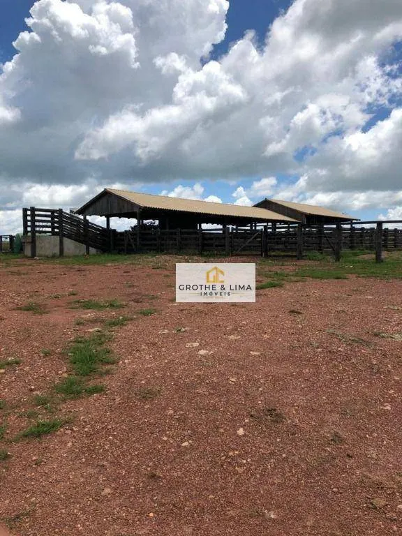 Farm for sale of 6,494 acres in Wanderlândia, TO, Brazil