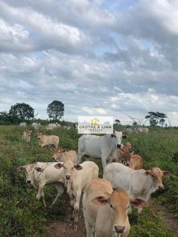 Farm for sale of 6,494 acres in Wanderlândia, TO, Brazil