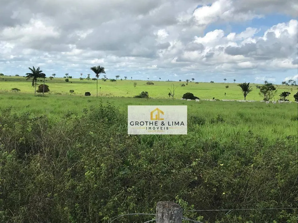 Farm for sale of 6,494 acres in Wanderlândia, TO, Brazil