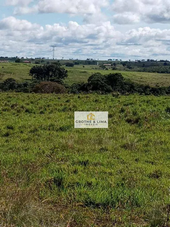 Farm for sale of 6,494 acres in Wanderlândia, TO, Brazil