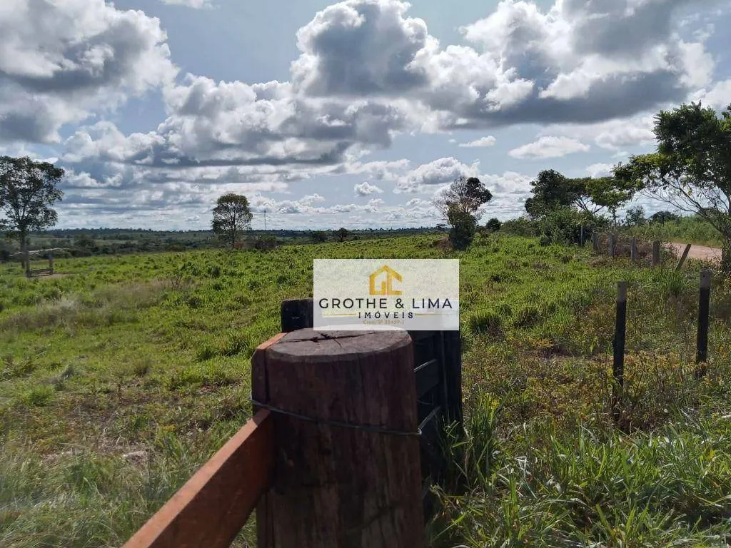 Farm for sale of 6,494 acres in Wanderlândia, TO, Brazil