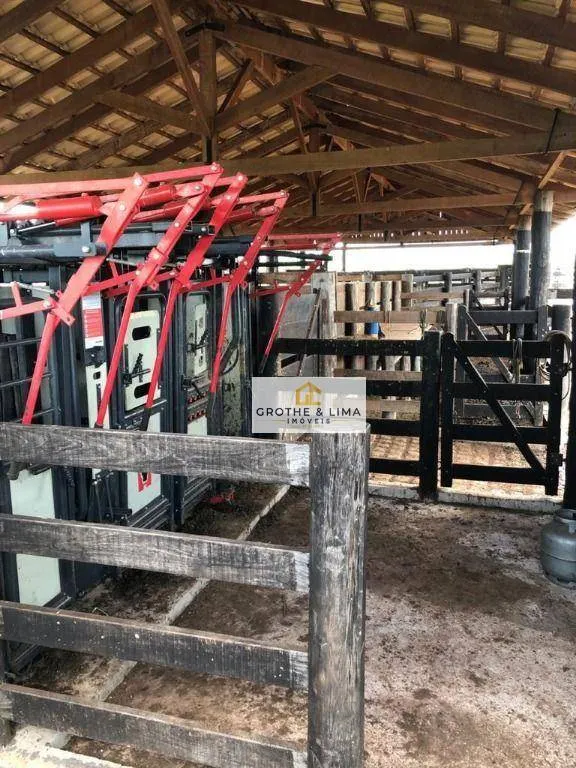 Farm for sale of 6,494 acres in Wanderlândia, TO, Brazil
