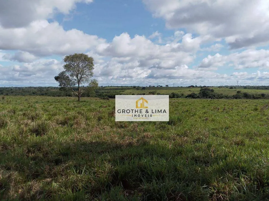 Farm for sale of 6,494 acres in Wanderlândia, TO, Brazil