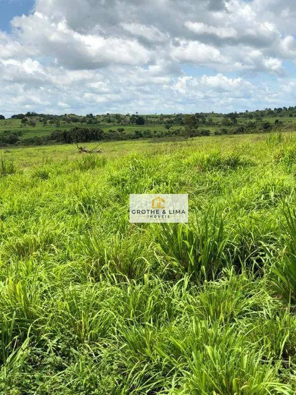 Farm for sale of 6,494 acres in Wanderlândia, TO, Brazil