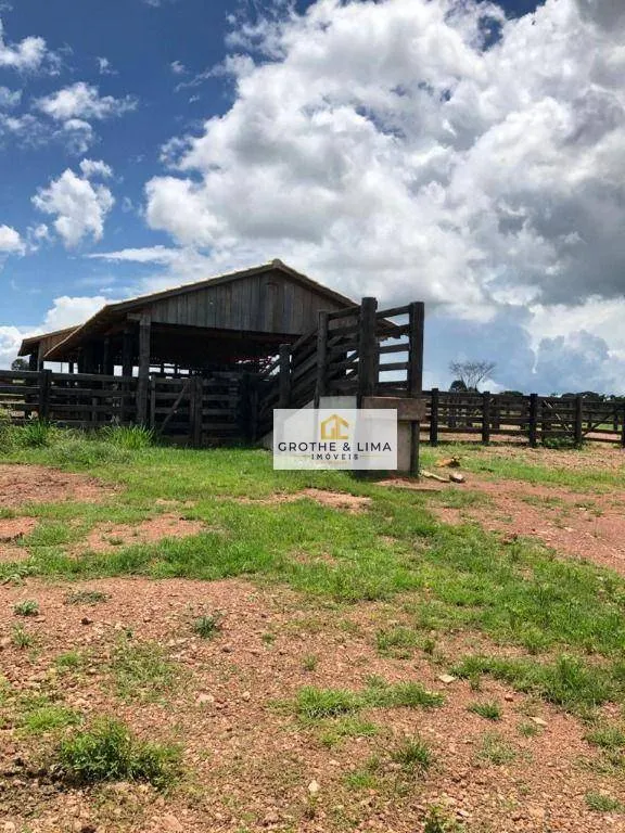 Farm for sale of 6,494 acres in Wanderlândia, TO, Brazil