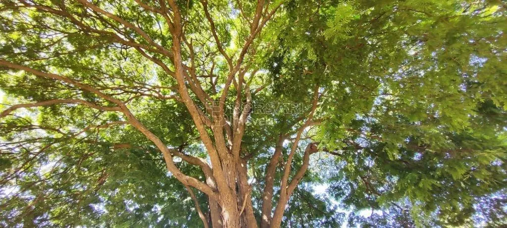 Chácara à venda de 5.256 m² em Araraquara, SP, Brasil