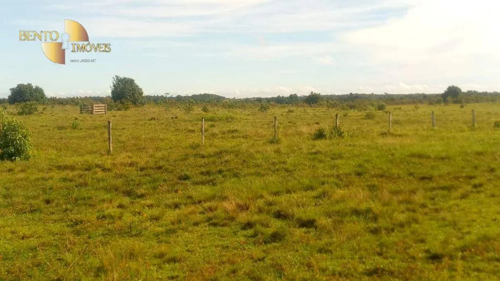 Fazenda à venda de 6.500 ha em Viseu, PA, Brasil