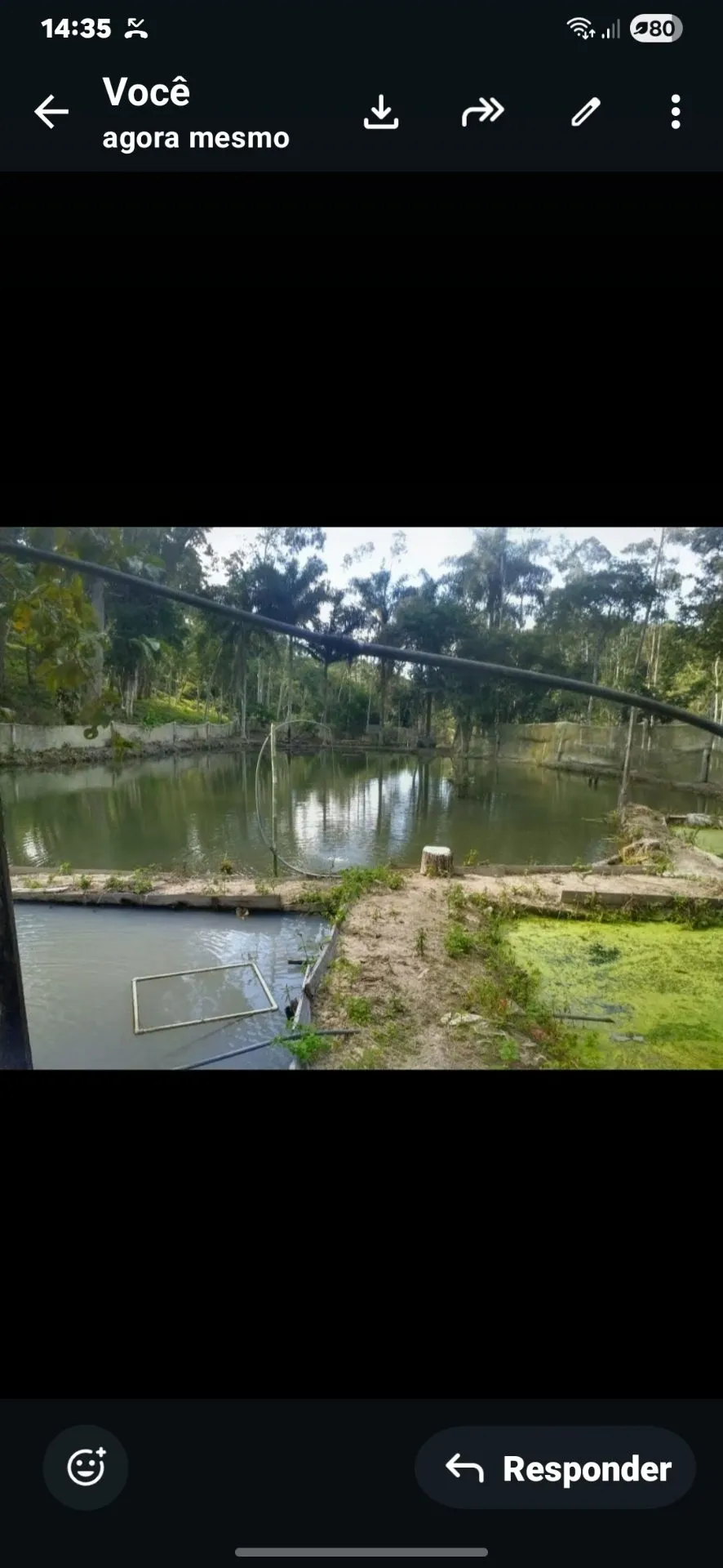 Fazenda à venda de 8 ha em Natividade da Serra, SP, Brasil