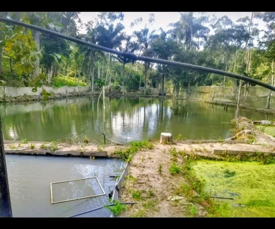 Fazenda à venda de 8 ha em Natividade da Serra, SP, Brasil