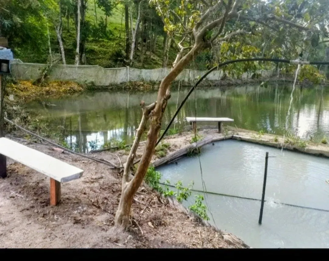 Fazenda à venda de 8 ha em Natividade da Serra, SP, Brasil