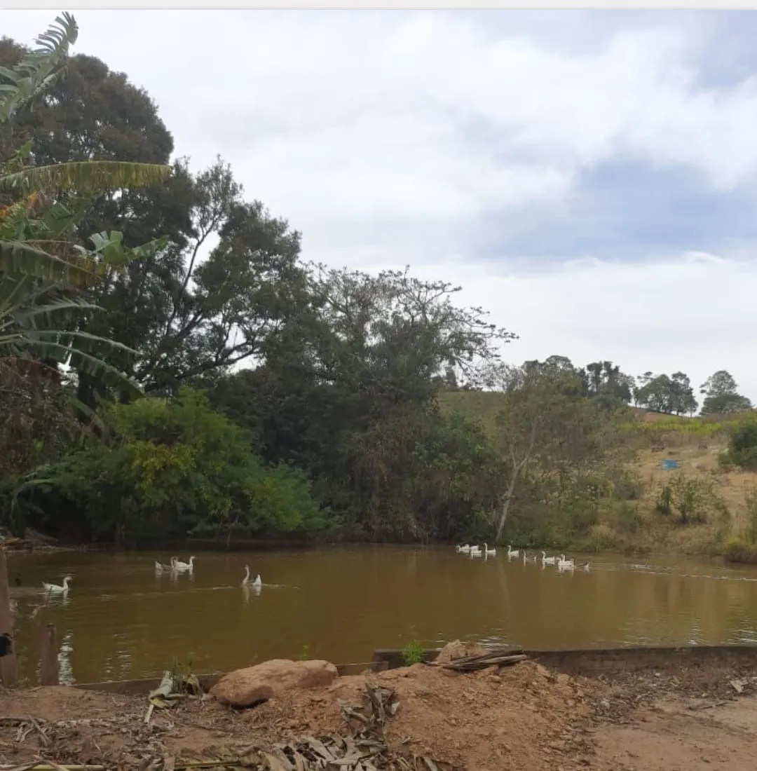 Sítio à venda de 46 ha em Ouro Fino, MG, Brasil