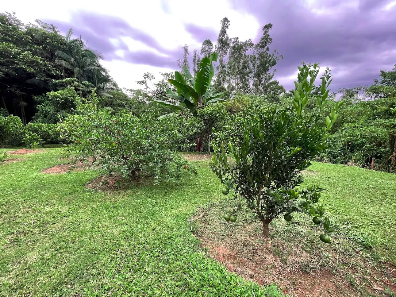Sítio à venda de 4 ha em São José dos Campos, SP, Brasil