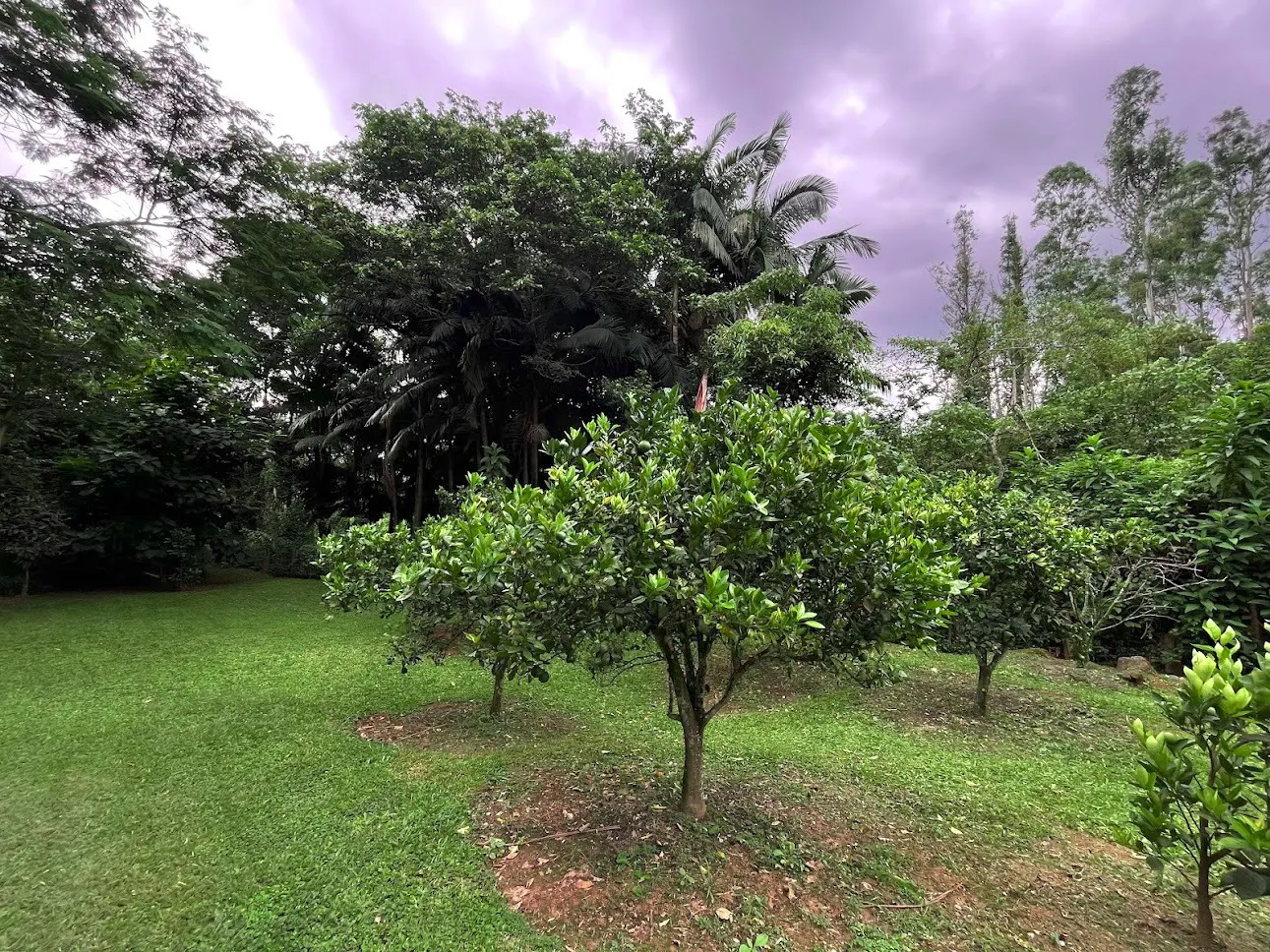 Sítio à venda de 4 ha em São José dos Campos, SP, Brasil