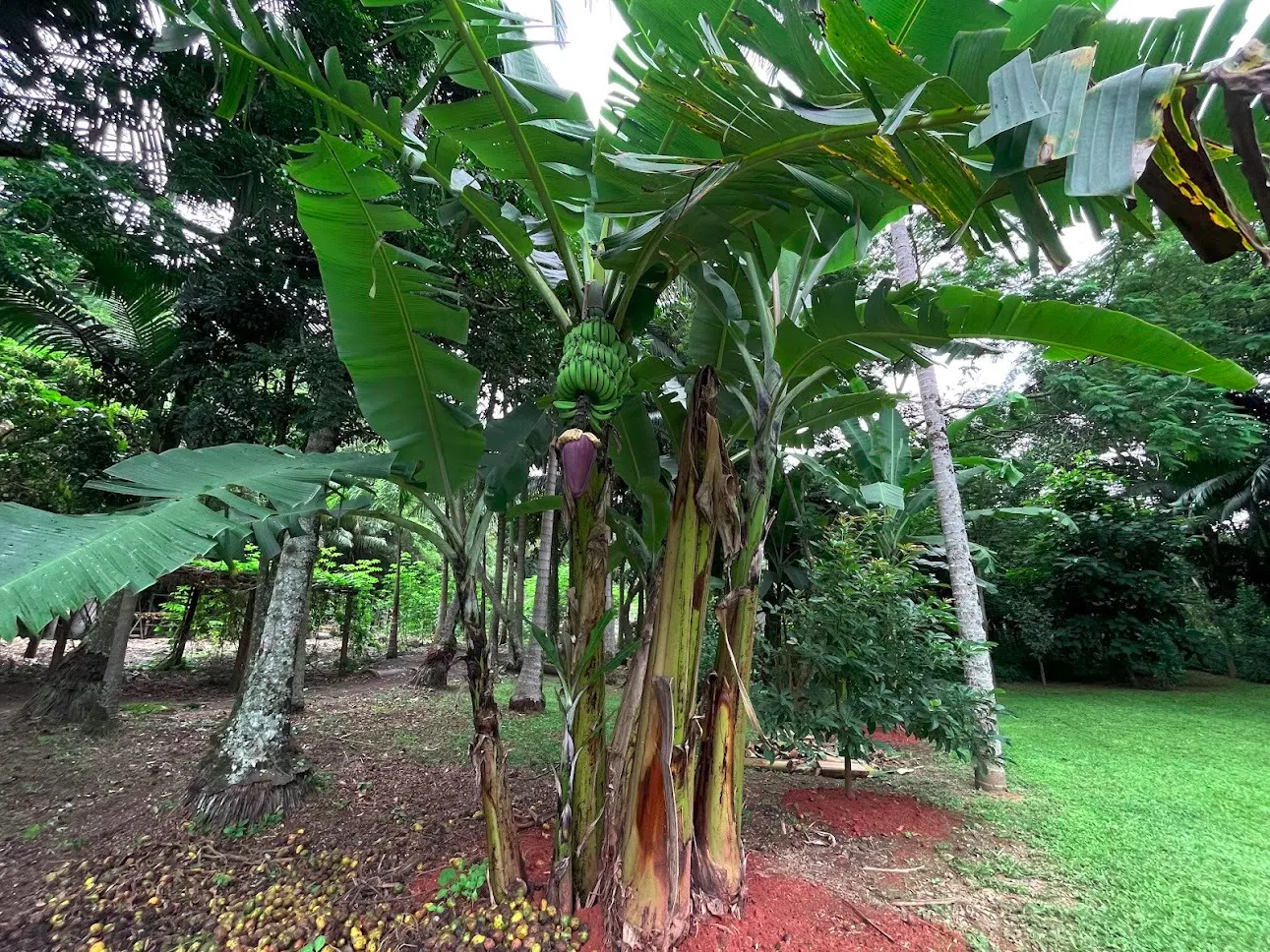 Sítio à venda de 4 ha em São José dos Campos, SP, Brasil