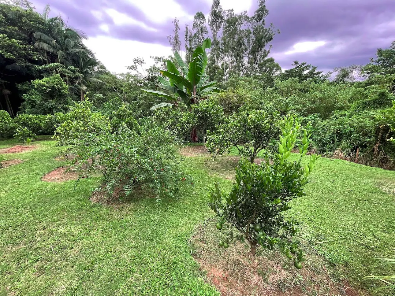 Sítio à venda de 4 ha em São José dos Campos, SP, Brasil