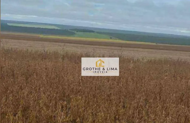 Fazenda à venda de 1.388 ha em Tangará da Serra, MT, Brasil