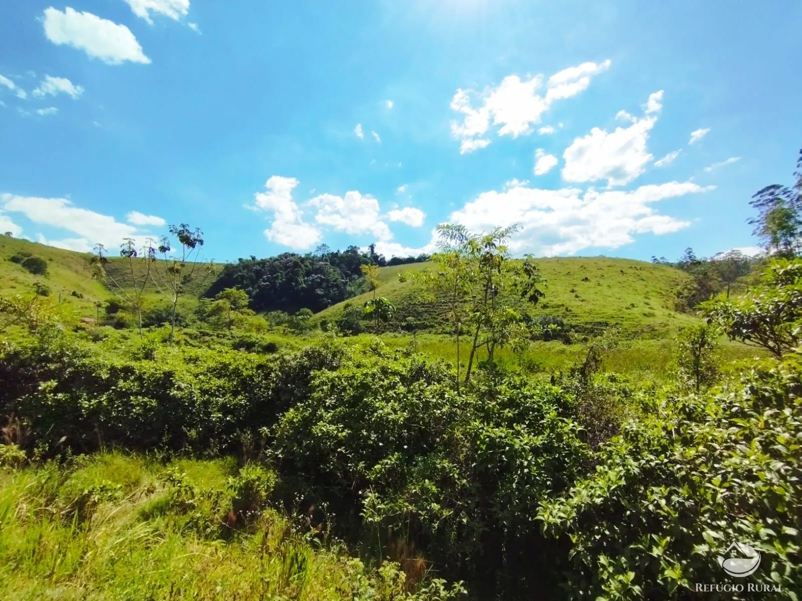 Sítio à venda de 10 ha em São José dos Campos, SP, Brasil
