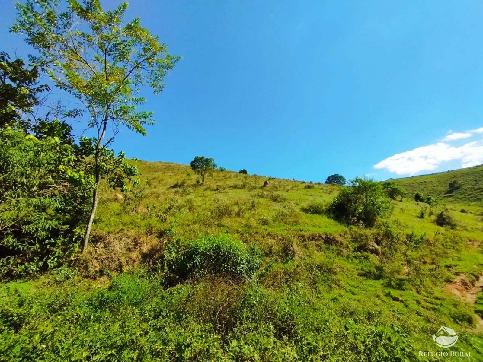 Sítio à venda de 10 ha em São José dos Campos, SP, Brasil