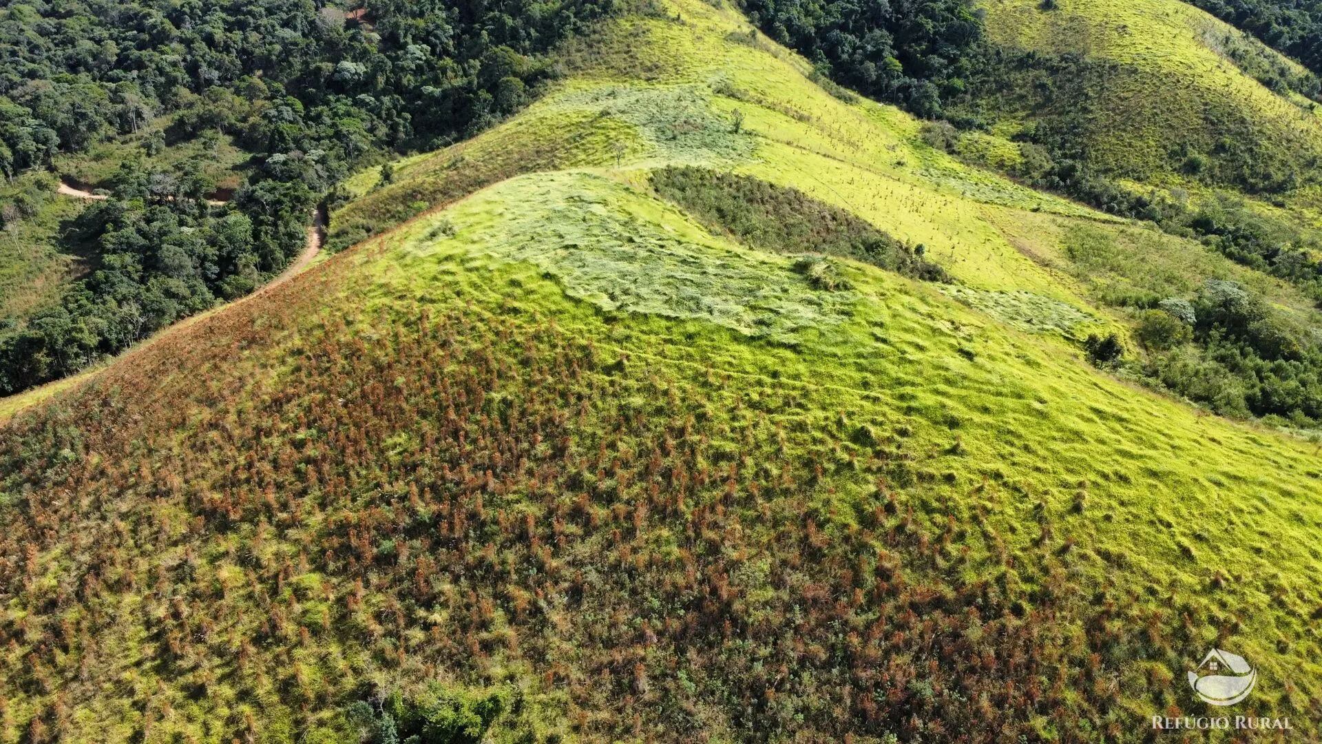 Fazenda à venda de 96 ha em Sapucaí-Mirim, MG, Brasil