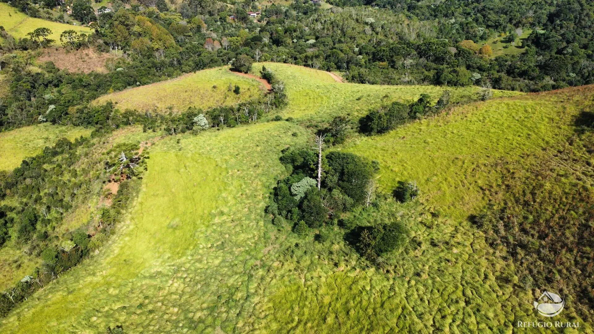 Fazenda à venda de 96 ha em Sapucaí-Mirim, MG, Brasil