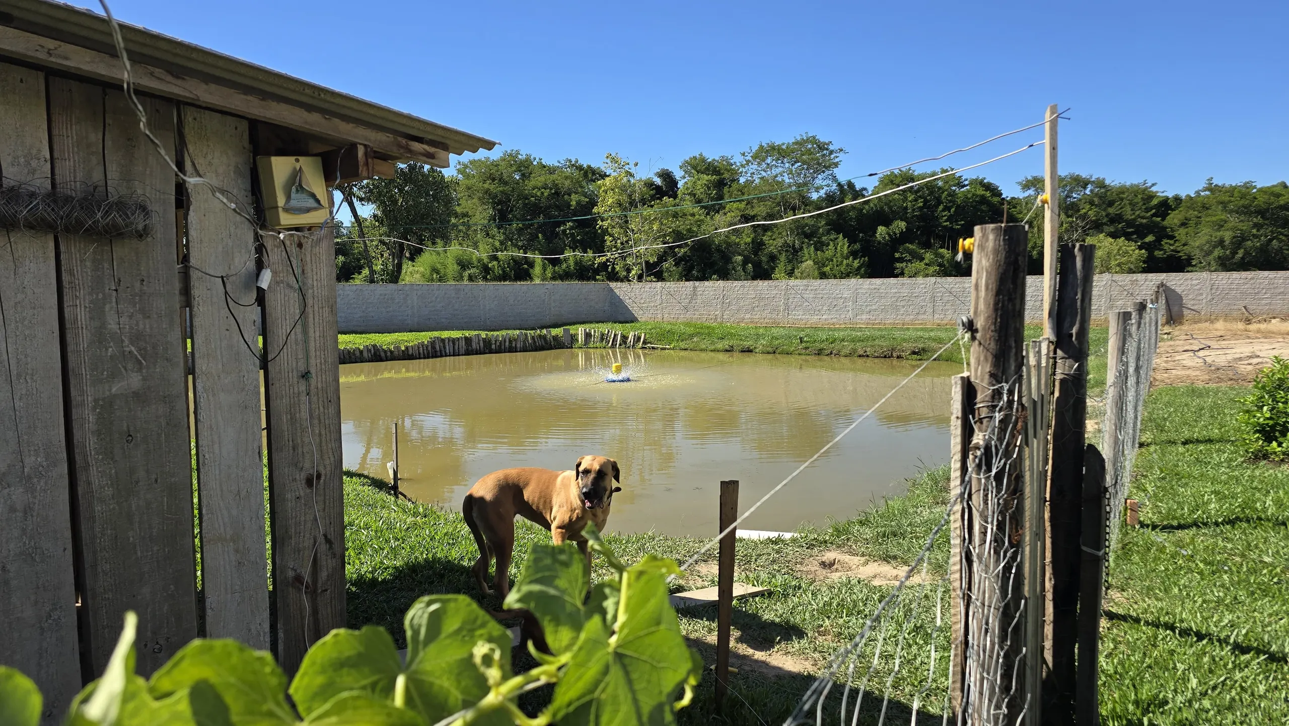 House for sale of 1,800 m² in Tomazina, PR, Brazil