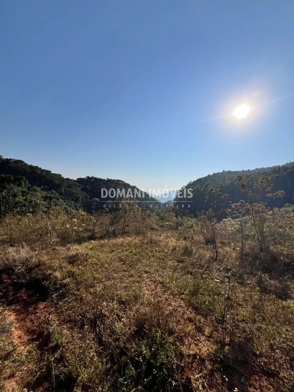 Small farm for sale of 17 acres in Brazópolis, MG, Brazil