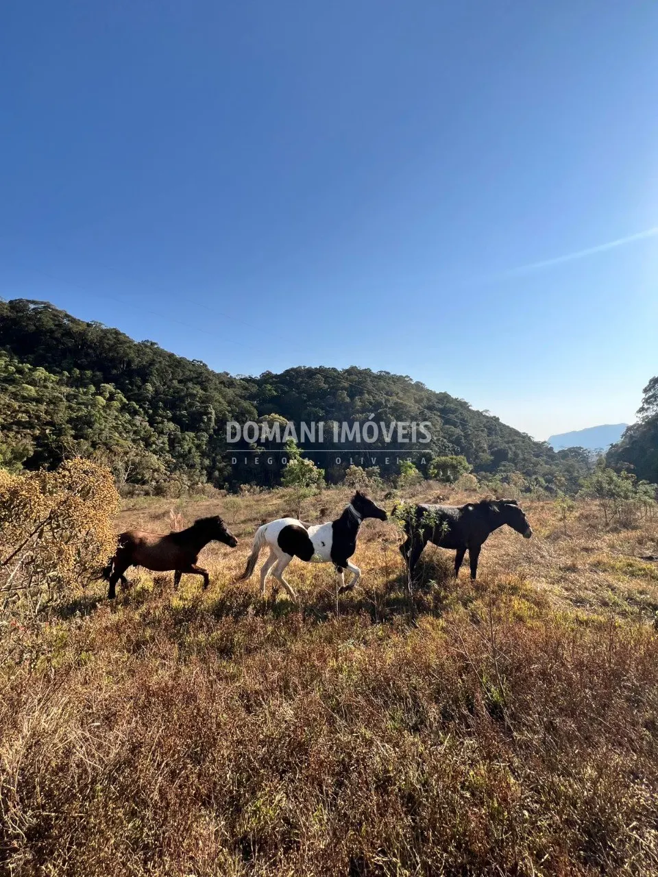 Small farm for sale of 17 acres in Brazópolis, MG, Brazil