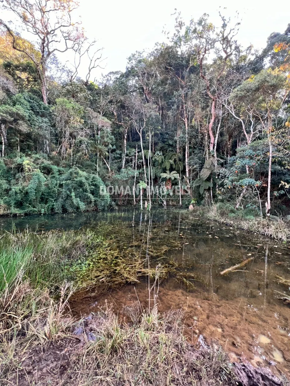 Small farm for sale of 17 acres in Brazópolis, MG, Brazil