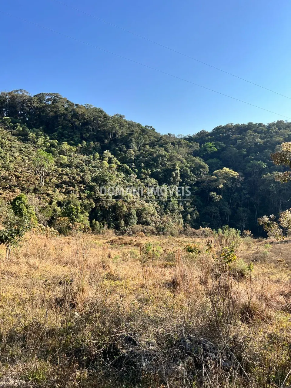 Small farm for sale of 17 acres in Brazópolis, MG, Brazil