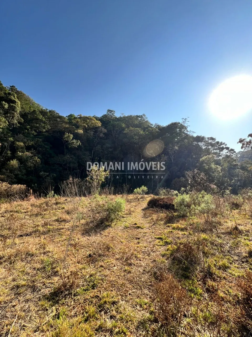 Small farm for sale of 17 acres in Brazópolis, MG, Brazil