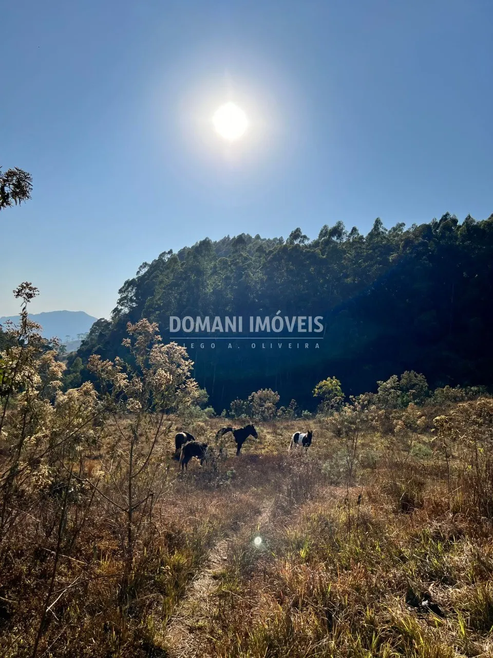 Small farm for sale of 17 acres in Brazópolis, MG, Brazil